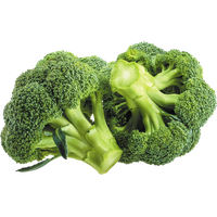 Images Green Broccoli Free Clipart HD
