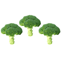 Green Broccoli PNG Image High Quality
