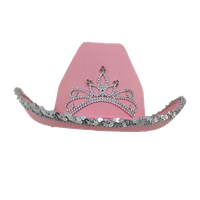 Pink Birthday Hat Download HQ