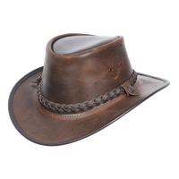 Brown Hat Cowboy PNG Free Photo