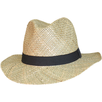 Straw Hat PNG Free Photo