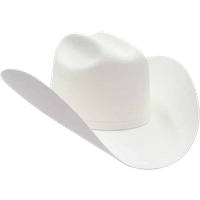 Photos White Hat Free PNG HQ