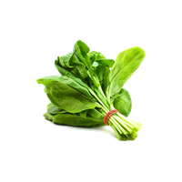 Fresh Green Spinach Download Free Image