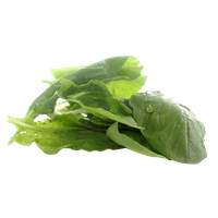 Leaves Green Spinach Free Clipart HQ