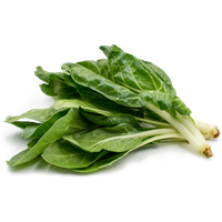 Photos Leaves Green Spinach Free Download PNG HQ