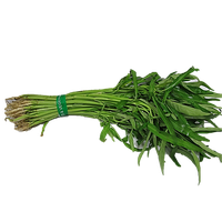 Fresh Chinese Spinach Free Clipart HQ