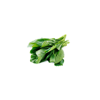 Photos Green Chinese Spinach HD Image Free