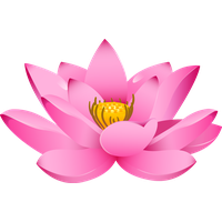 Pink Lotus Flower PNG Download Free