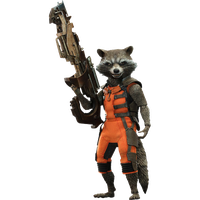 Raccoon Guardian Rocket Free Download Image