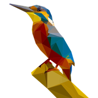 Kingfisher Pic Bird Download HQ