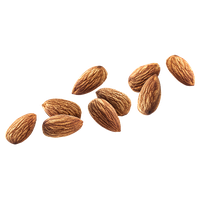 Nut Almond Download HQ