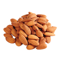 Nut Almond Free Download PNG HQ