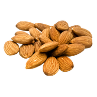 Nut Almond Free Clipart HD