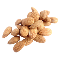 Nut Almond Free Download Image