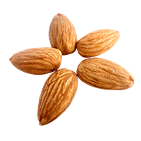 Images Nut Almond Free Photo