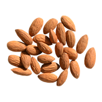 Nut Almond PNG File HD