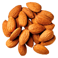 Picture Nut Almond Free HQ Image