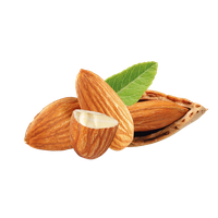 Picture Nut Almond Free Photo