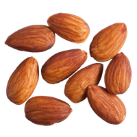 Nut Almond Download HD