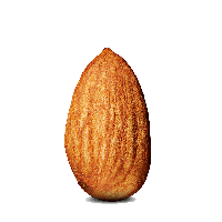 Photos Nut Almond Download HD