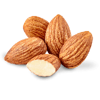 Nut Almond Download Free Image