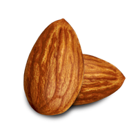 Nut Almond PNG Image High Quality