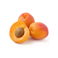 Apricot Up Close PNG File HD