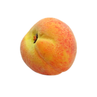 Apricot Picture Up Close PNG Image High Quality