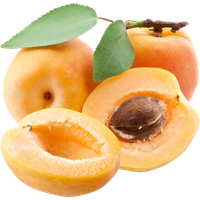 Apricot Up Close Free Download PNG HD