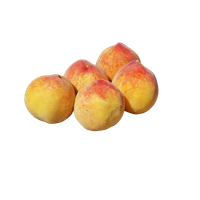 Images Apricot Up Close PNG Download Free