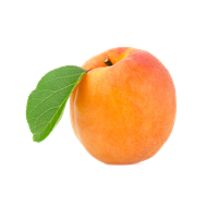 Apricot Fruit Download HD