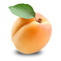 Apricot Fruit Free Download PNG HD