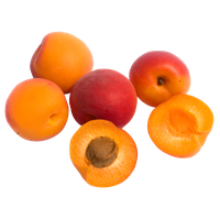 Apricot Fruit PNG Image High Quality