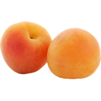Apricot Fruit Picture PNG Image High Quality
