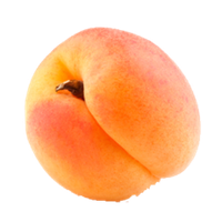 Apricot Fruit Download HQ