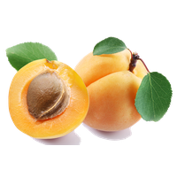 Apricot Fruit Slice Free Download PNG HQ