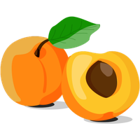 Apricot Fruit Slice HD Image Free