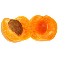 Apricot Fruit Slice Download Free Image
