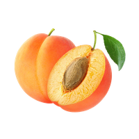 Apricot Fruit Slice HD Image Free