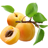 Apricot Fruit Pic Slice Free HD Image