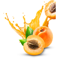 Apricot Fruit Slice Download Free Image