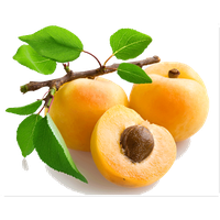 Apricot Fruit Slice Download HQ