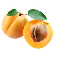 Apricot Fruit Free HD Image