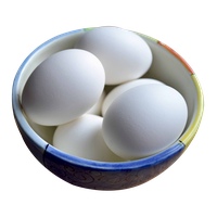 Bowl Egg Free HD Image