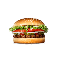 Burger Non-Veg King Free Download PNG HQ