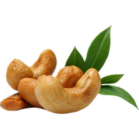 Nut Cashew Organic Download HQ