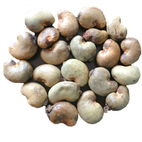 Photos Nut Cashew Organic Free Download Image