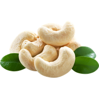 Nut Cashew Organic PNG Free Photo