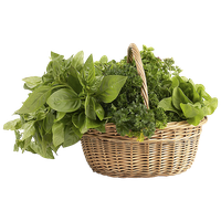 Herbs Photos PNG Download Free