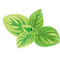 Herbs Pic Leaf Download HQ